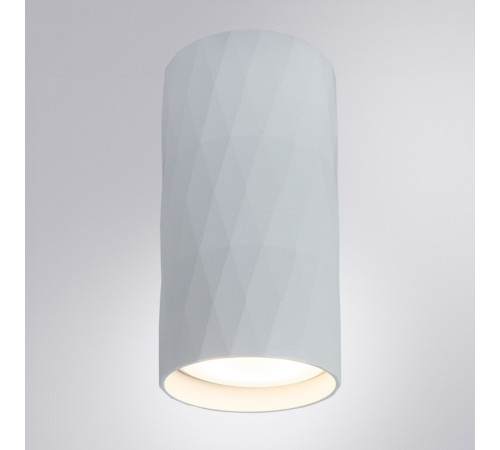 Накладной светильник Arte Lamp Fang A5557PL-1WH