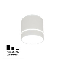 Накладной светильник Citilux Борн CL745010N