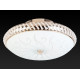 Накладной светильник Toplight Davina TL1481Y-04GC