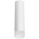 Накладной светильник Lightstar Rullo R649681 (216496+202481)