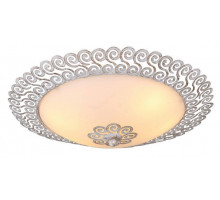 Потолочный светильник Arte Lamp Fleece A4554PL-2WG