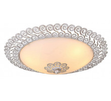 Потолочный светильник Arte Lamp Fleece A4554PL-2WG