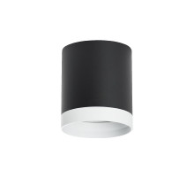 Накладной светильник Lightstar Rullo (213487+203486) R34873486