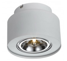 Потолочный светильник Arte Lamp Cliff A5643PL-1WH