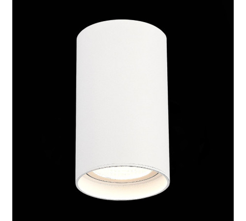 Накладной светильник ST Luce ST157.542.20 Накладной светильник ST Luce ST157.542.20