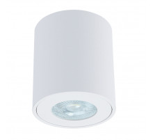 Накладной светильники Arte Lamp Tino A1469PL-1WH