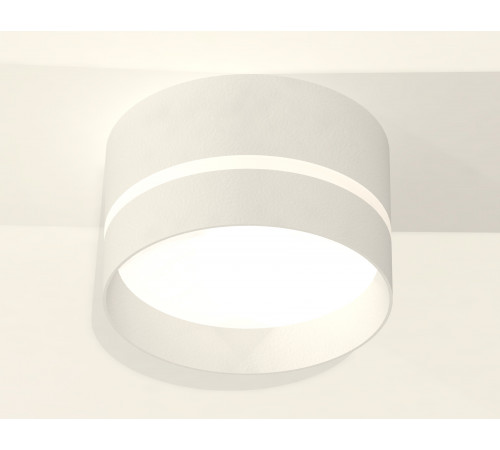 Потолочный светильник Ambrella Light Techno Spot XS8101020 (C8101, N8461)