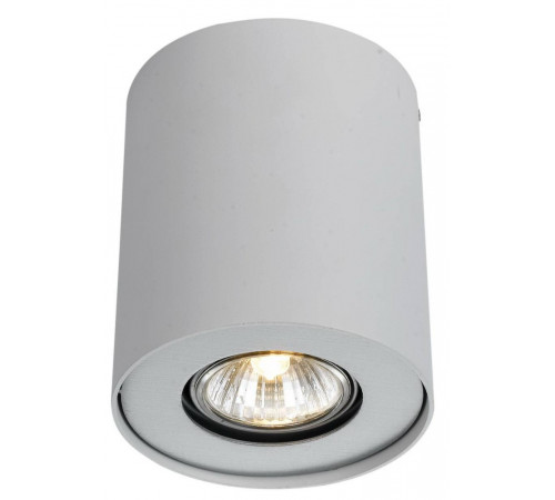 Потолочный светильник Arte Lamp Falcon A5633PL-1WH
