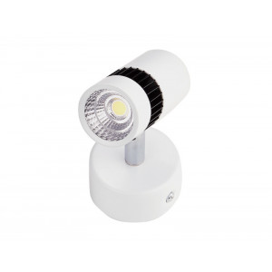 Накладной светильник Ambrella Light TN101/7W WH/BK
