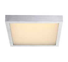 Потолочный светодиодный светильник Globo Katrin 41724