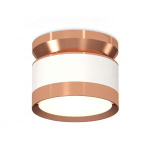 Потолочный светильник Ambrella Light Techno Spot XS8101065 (N8912, C8101, N8126)