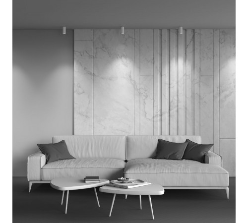 Накладной светильник Maytoni Focus LED C056CL-L12W4K-W-W