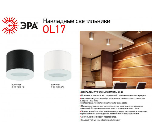 Накладной светильник ЭРА OL17 GX53 BK Б0049028 Накладной светильник ЭРА OL17 GX53 BK Б0049028