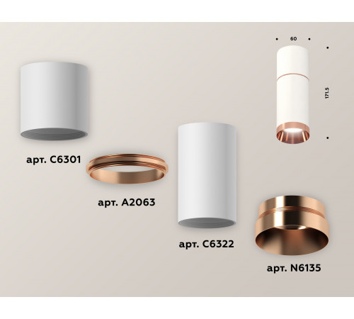 Потолочный светильник Ambrella Light Techno Spot XS6322063 (C6301, A2063, C6322, N6135) Потолочный светильник Ambrella Light Techno Spot XS6322063 (C6301, A2063, C6322, N6135)