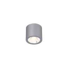 Накладной светильник Favourite Deorsum 2808-1C