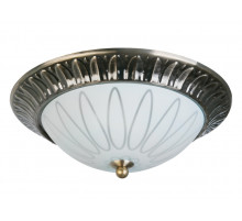 Накладной светильник Toplight Paulina TL5050Y-02AB