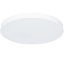Потолочный светодиодный светильник Arte Lamp Arena A2671PL-1WH