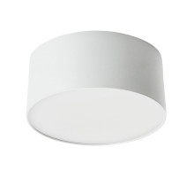 Потолочный светодиодный светильник Feron Simple matte AL200 48076