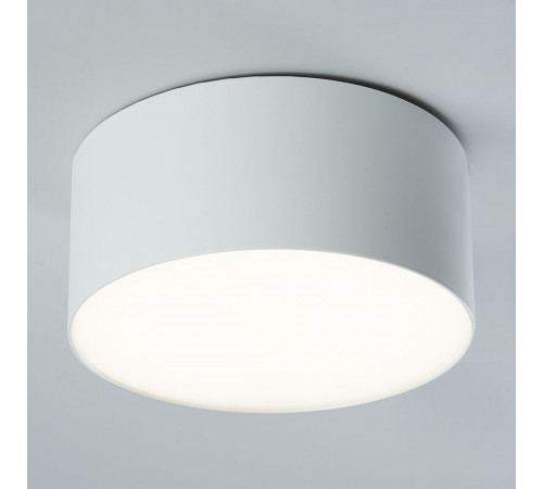 Потолочный светодиодный светильник Feron Simple matte AL200 48076
