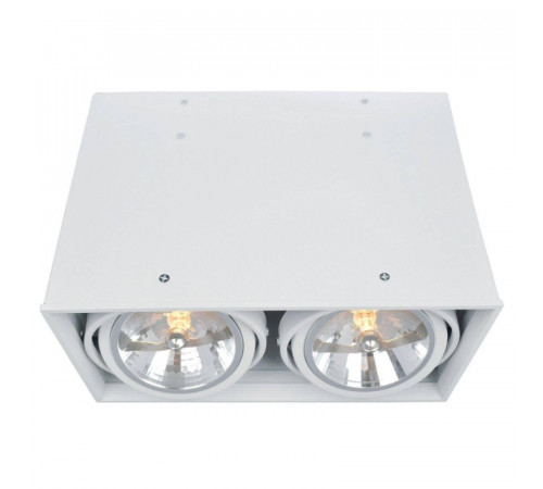 Потолочный светильник Arte Lamp Cardani A5936PL-2WH Потолочный светильник Arte Lamp Cardani A5936PL-2WH