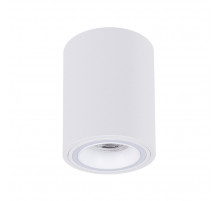 Накладной светильник Arte Lamp Imai A2267PL-1WH