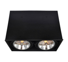 Потолочный светильник Arte Lamp Cardani A5936PL-2BK