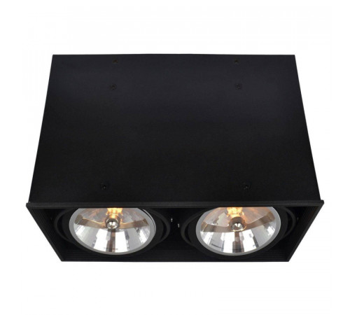 Потолочный светильник Arte Lamp Cardani A5936PL-2BK Потолочный светильник Arte Lamp Cardani A5936PL-2BK