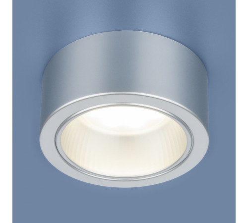 Накладной светильник Elektrostandard 1070 GX53 SL серебро 4690389087561