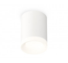 Потолочный светильник Ambrella Light Techno Spot XS7421024 (C7421, N7165)