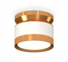 Потолочный светильник Ambrella Light Techno Spot XS8101060 (N8909, C8101, N8124)