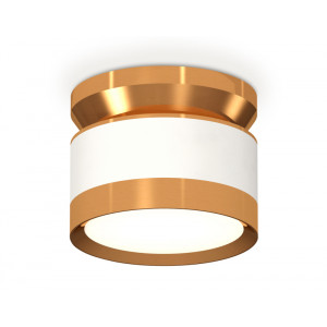 Потолочный светильник Ambrella Light Techno Spot XS8101060 (N8909, C8101, N8124)