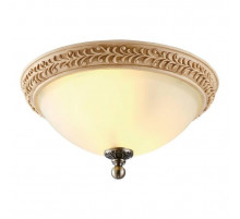 Потолочный светильник Arte Lamp Ivory A9070PL-2AB