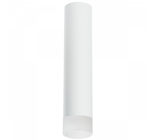Накладной светильник Lightstar Rullo R49631 (214496+202431) Накладной светильник Lightstar Rullo R49631 (214496+202431)