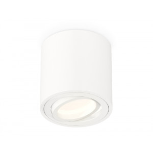 Потолочный светильник Ambrella Light Techno Spot XS7531001 (C7531, N7001)