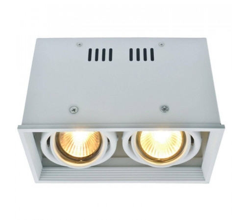 Потолочный светильник Arte Lamp Cardani A5942PL-2WH Потолочный светильник Arte Lamp Cardani A5942PL-2WH