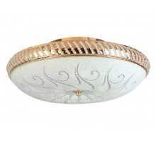 Накладной светильник Toplight Davina TL1482Y-05GC