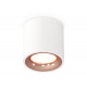 Потолочный светильник Ambrella Light Techno Spot XS7531025 (C7531, N7015)
