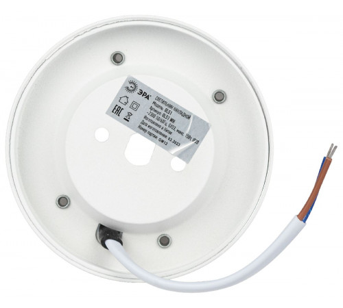 Накладной светильник Эра OL51 WH Б0059804 Накладной светильник Эра OL51 WH Б0059804