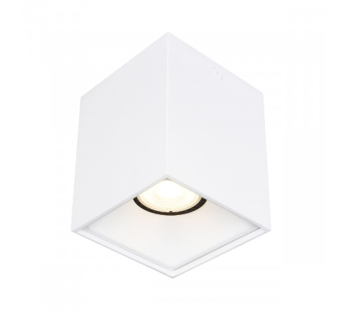 Накладной светильник ST Luce ST168.502.01 Накладной светильник ST Luce ST168.502.01