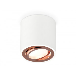 Потолочный светильник Ambrella Light Techno Spot XS7531005 (C7531, N7005)