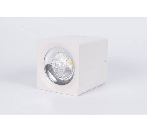 Накладной светодиодный светильник Fiberli CH-SD220-1(W) 12120103 Накладной светодиодный светильник Fiberli CH-SD220-1(W) 12120103