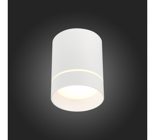 Накладной светильник ST Luce ST115 ST115.542.12 Накладной светильник ST Luce ST115 ST115.542.12