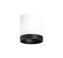Накладной светильник Lightstar Rullo (213486+203487) R34863487