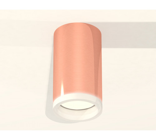 Потолочный светильник Ambrella Light Techno Spot XS6326020 (C6326, N6245) Потолочный светильник Ambrella Light Techno Spot XS6326020 (C6326, N6245)