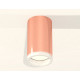 Потолочный светильник Ambrella Light Techno Spot XS6326020 (C6326, N6245)