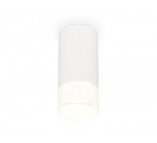 Потолочный светильник Ambrella Light Techno Spot XS8161003 (C8161, N8402)