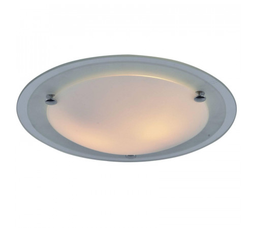 Потолочный светильник Arte Lamp A4831PL-2CC