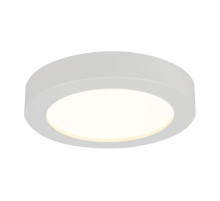 Потолочный светодиодный светильник Globo Paula 41605-20D