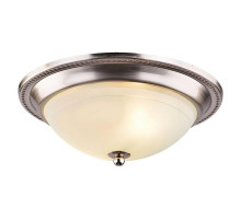 Потолочный светильник Arte Lamp 28 A3011PL-2SS