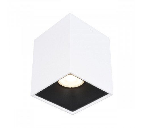 Накладной светильник ST Luce ST168.542.01 Накладной светильник ST Luce ST168.542.01